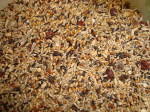 Kardinalen zaad 2,5 kg